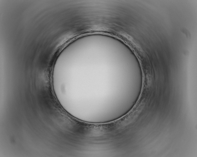 X0000113171266200909041314