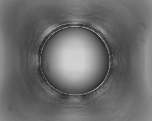 X0000113171267200909041314