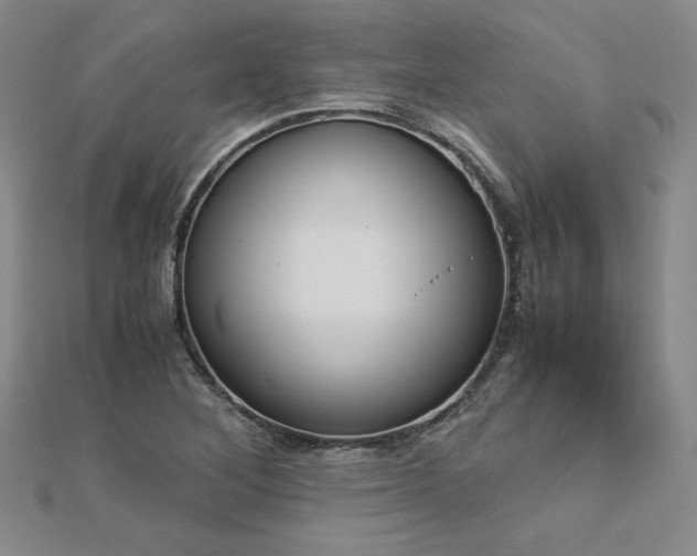 X0000113171268200909041314