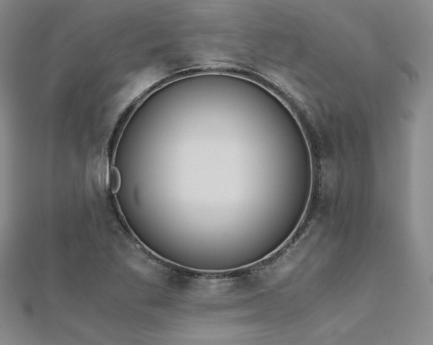 X0000113171269200909041314