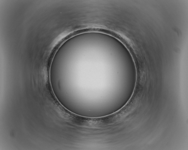 X0000113171271200909041314