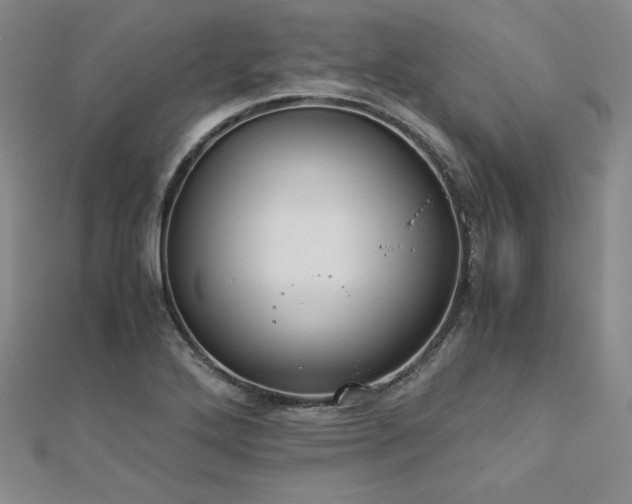 X0000113171272200909041314