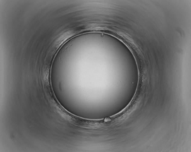 X0000113171273200909041314