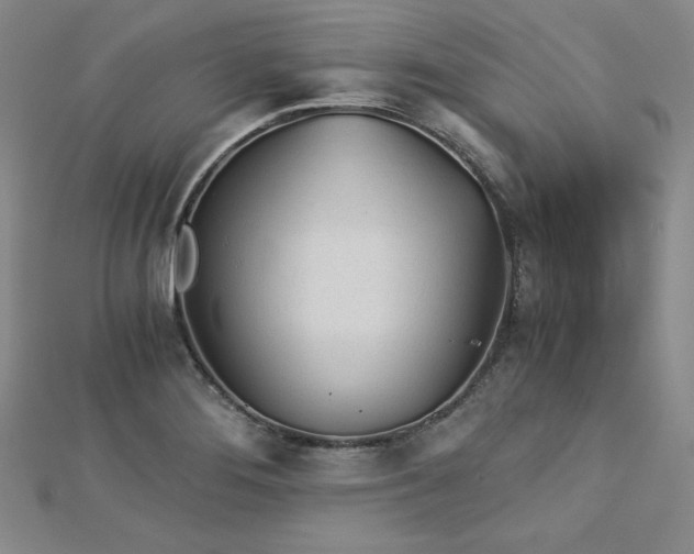 X0000113171276200909041314