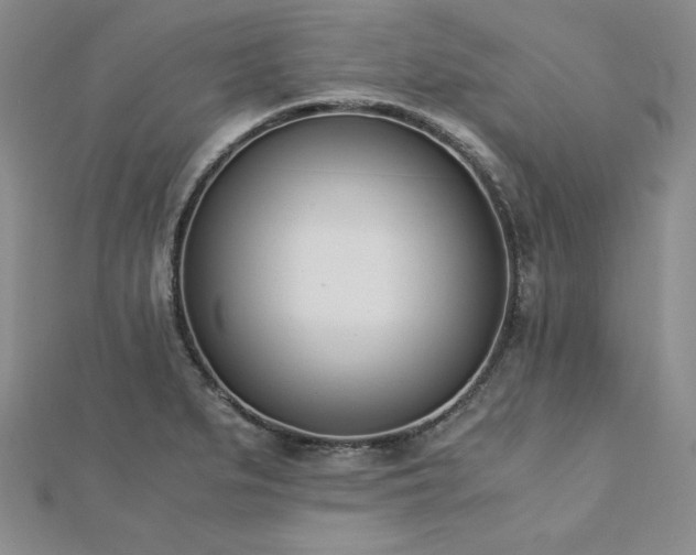 X0000113171279200909041314