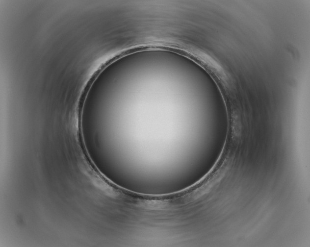 X0000113171280200909041314