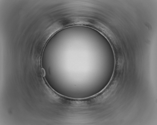 X0000113171281200909041314
