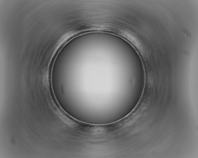X0000113171283200909041314