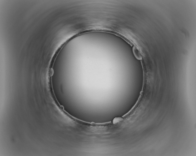 X0000113171285200909041314