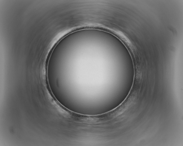 X0000113171287200909041314
