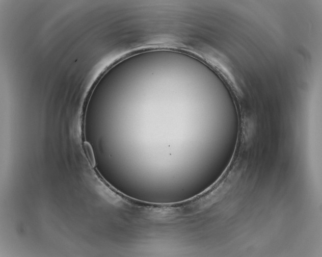 X0000113171288200909041314