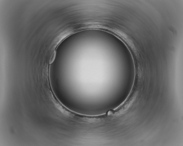 X0000113171289200909041314
