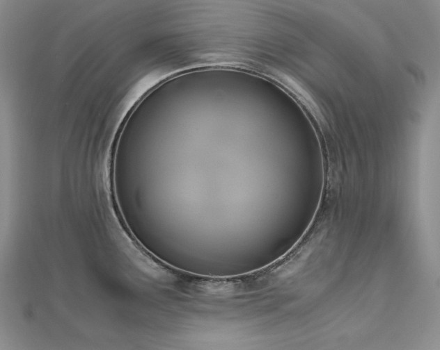 X0000113171291200909041314