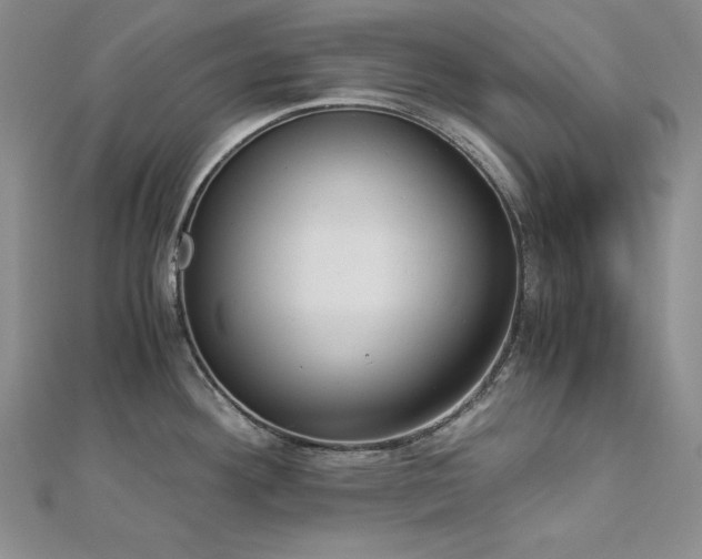 X0000113171292200909041314