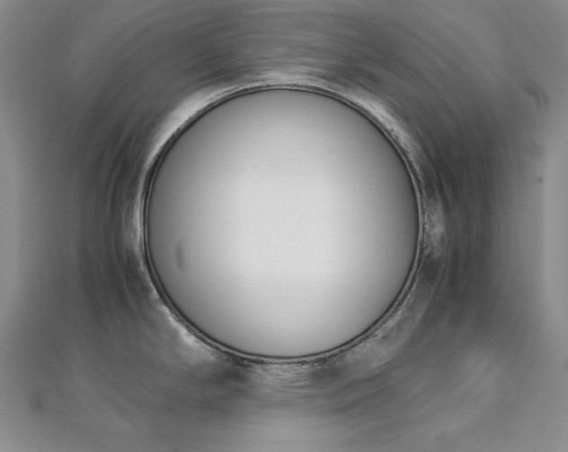 X0000113171294200909041314