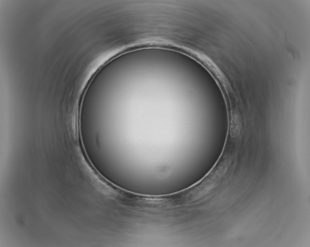 X0000113171295200909041314