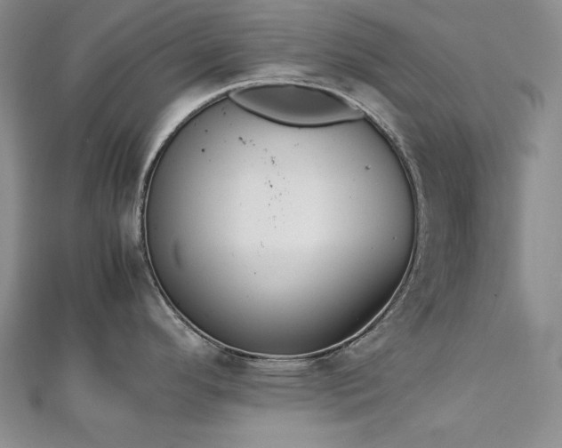 X0000113171296200909041314
