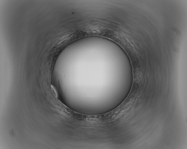 X0000113171297200909041313