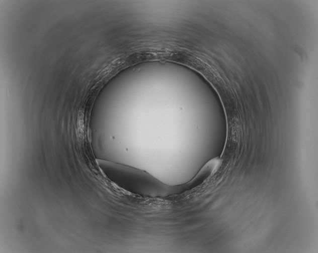 X0000113171298200909041313