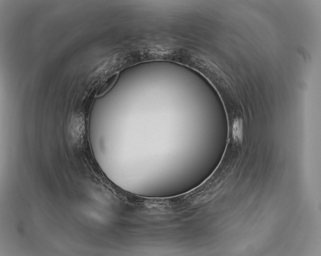 X0000113171299200909041313