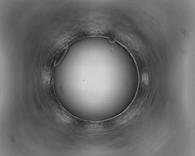 X0000113171300200909041313