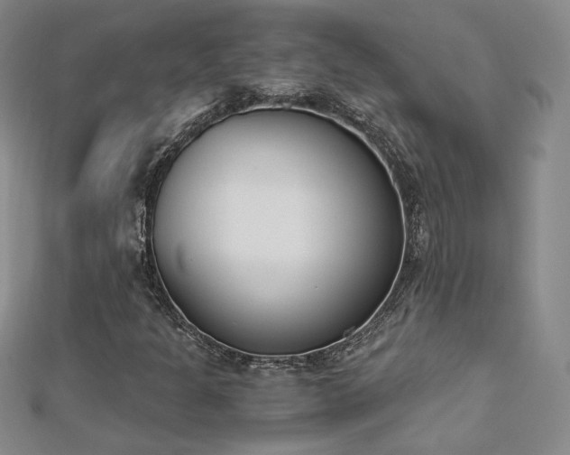 X0000113171301200909041313