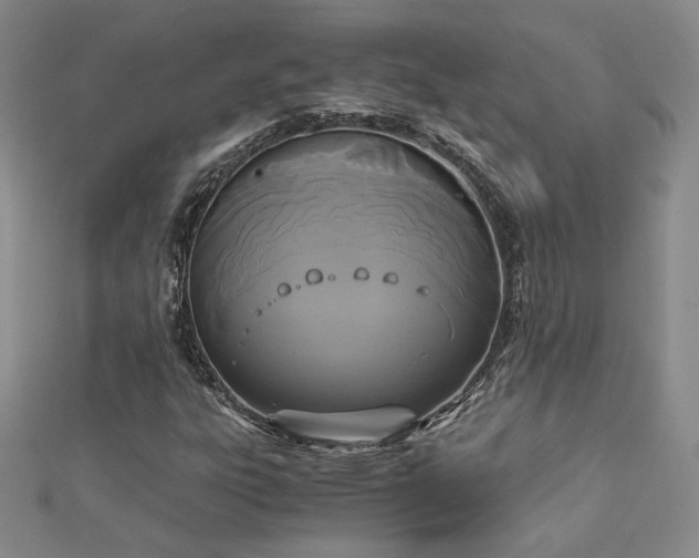 X0000113171303200909041313