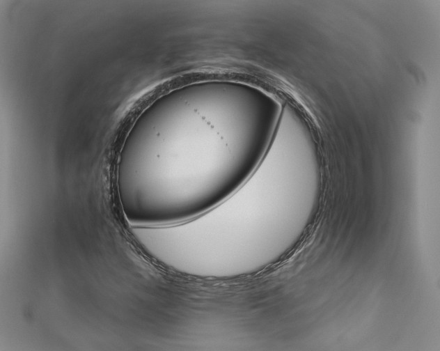X0000113171304200909041313