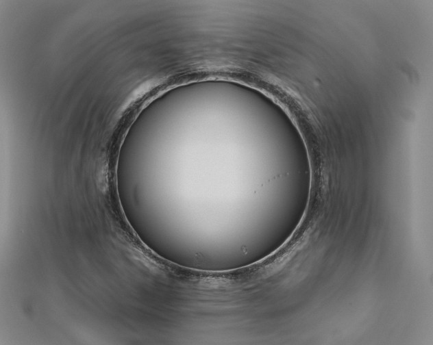 X0000113171306200909041313