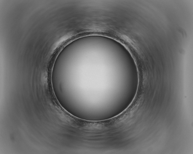X0000113171307200909041313