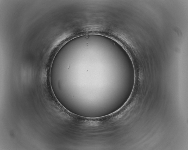 X0000113171309200909041313