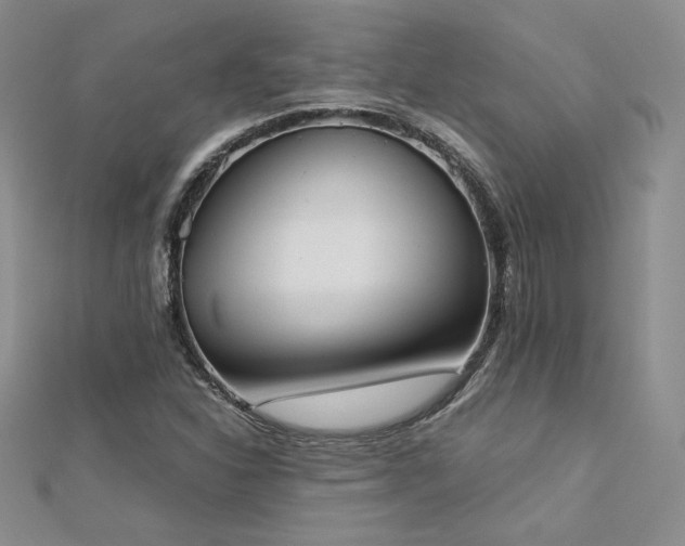 X0000113171310200909041313