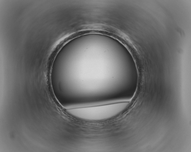 X0000113171312200909041314