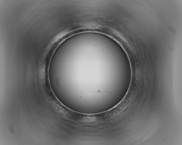 X0000113171315200909041314