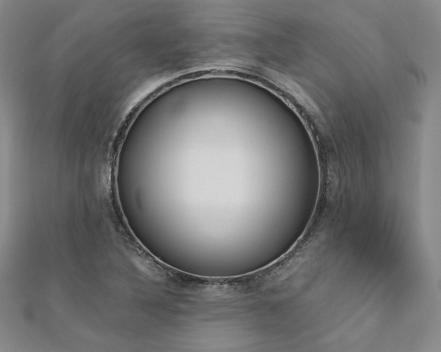 X0000113171316200909041314