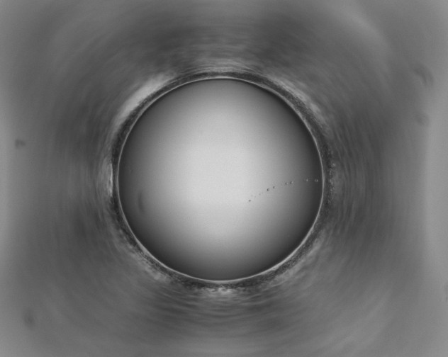 X0000113171317200909041314