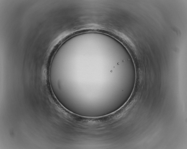 X0000113171318200909041314