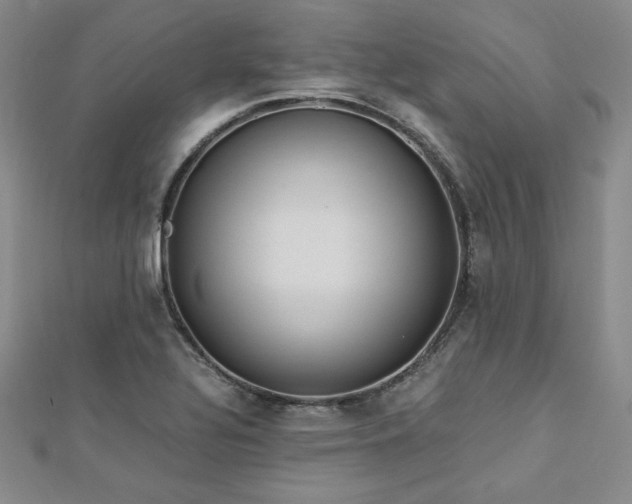 X0000113171320200909041314