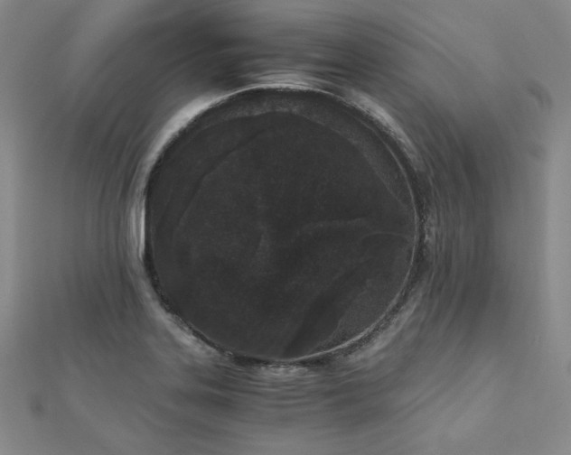 X0000113171323200909041314