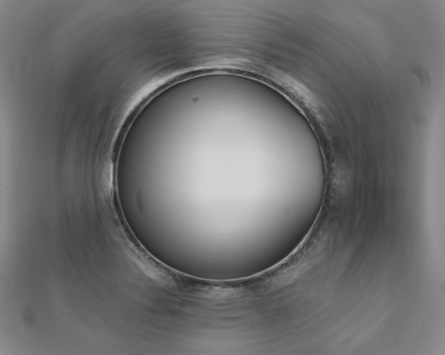 X0000113171324200909041314