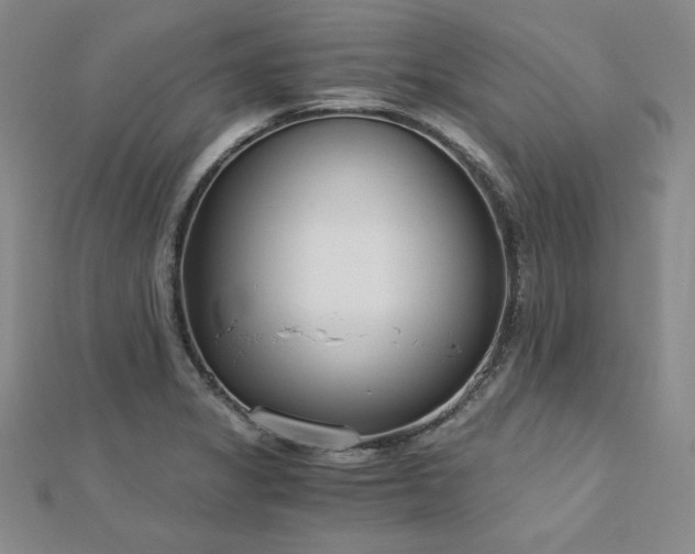 X0000113171325200909041314