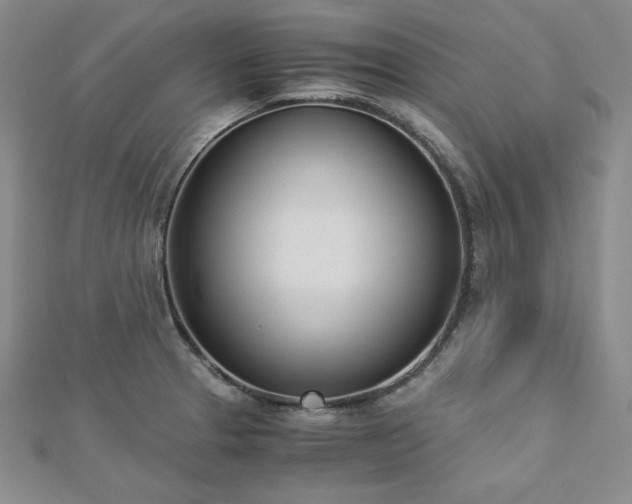 X0000113171329200909041314