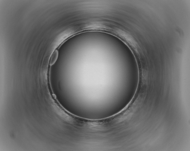 X0000113171330200909041314