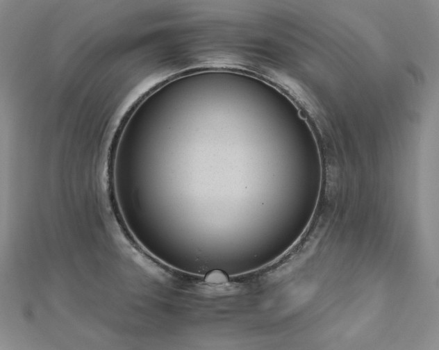 X0000113171331200909041314