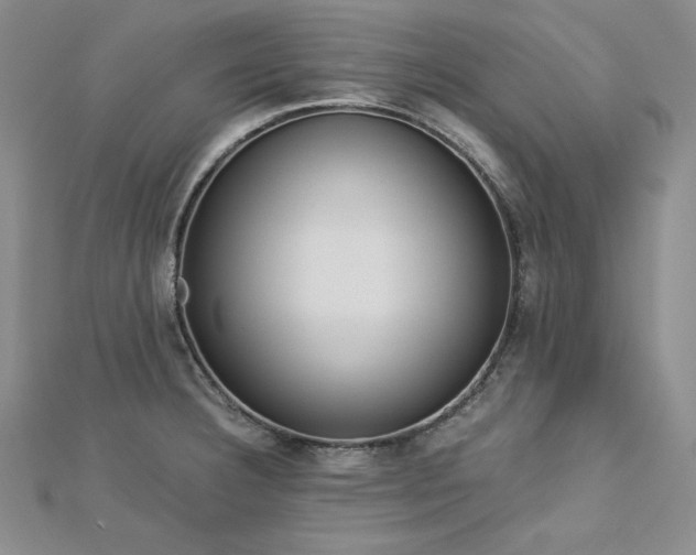 X0000113171332200909041314