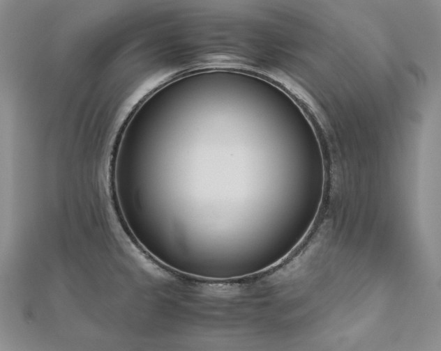 X0000113171333200909041314