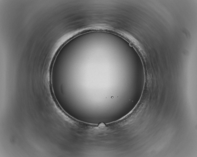 X0000113171335200909041314