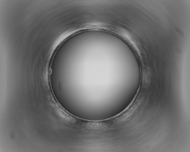 X0000113171336200909041314