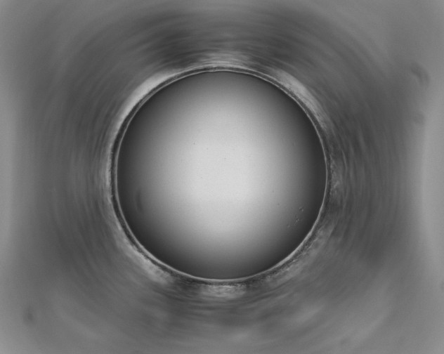 X0000113171339200909041314