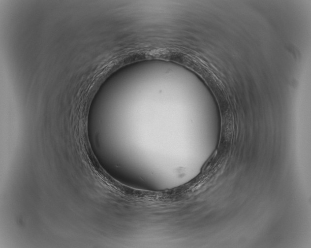 X0000113171345200909041313
